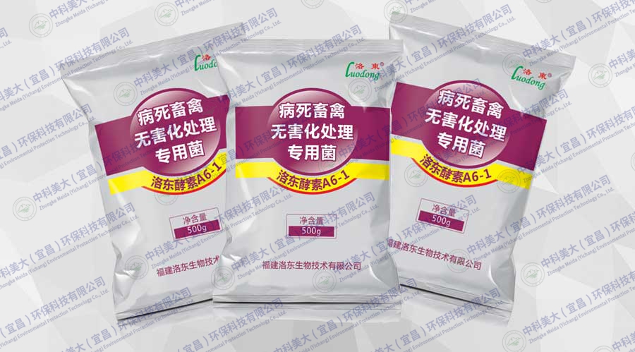 &#20048;&#31454;&#23448;&#32593;&#45;&#20048;&#31454;&#40;&#20013;&#22269;&#41;&#19968;&#31449;&#24335;&#20307;&#32946;&#26381;&#21153;
