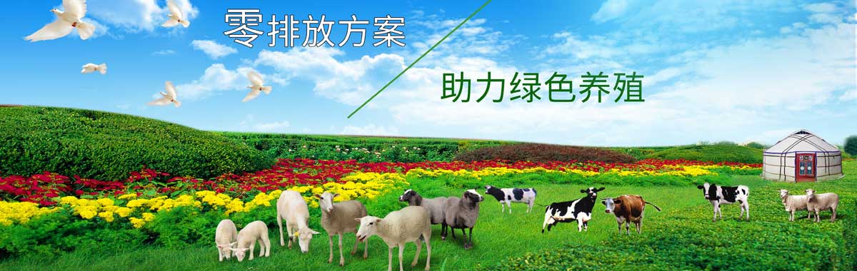 &#20048;&#31454;&#23448;&#32593;&#45;&#20048;&#31454;&#40;&#20013;&#22269;&#41;&#19968;&#31449;&#24335;&#20307;&#32946;&#26381;&#21153;